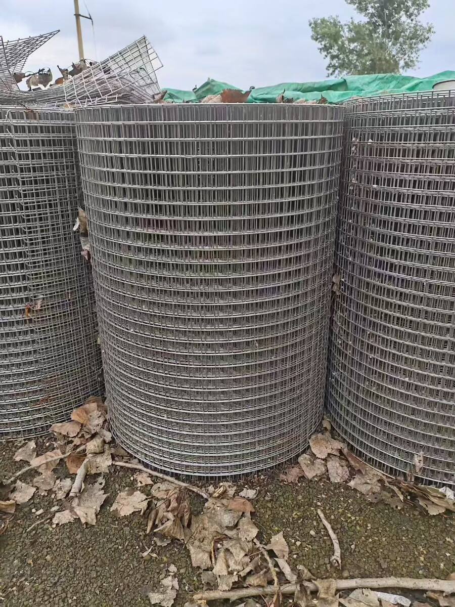 304 stainless steel welded mesh rolls for cages, partitions and anti-corrosion guards