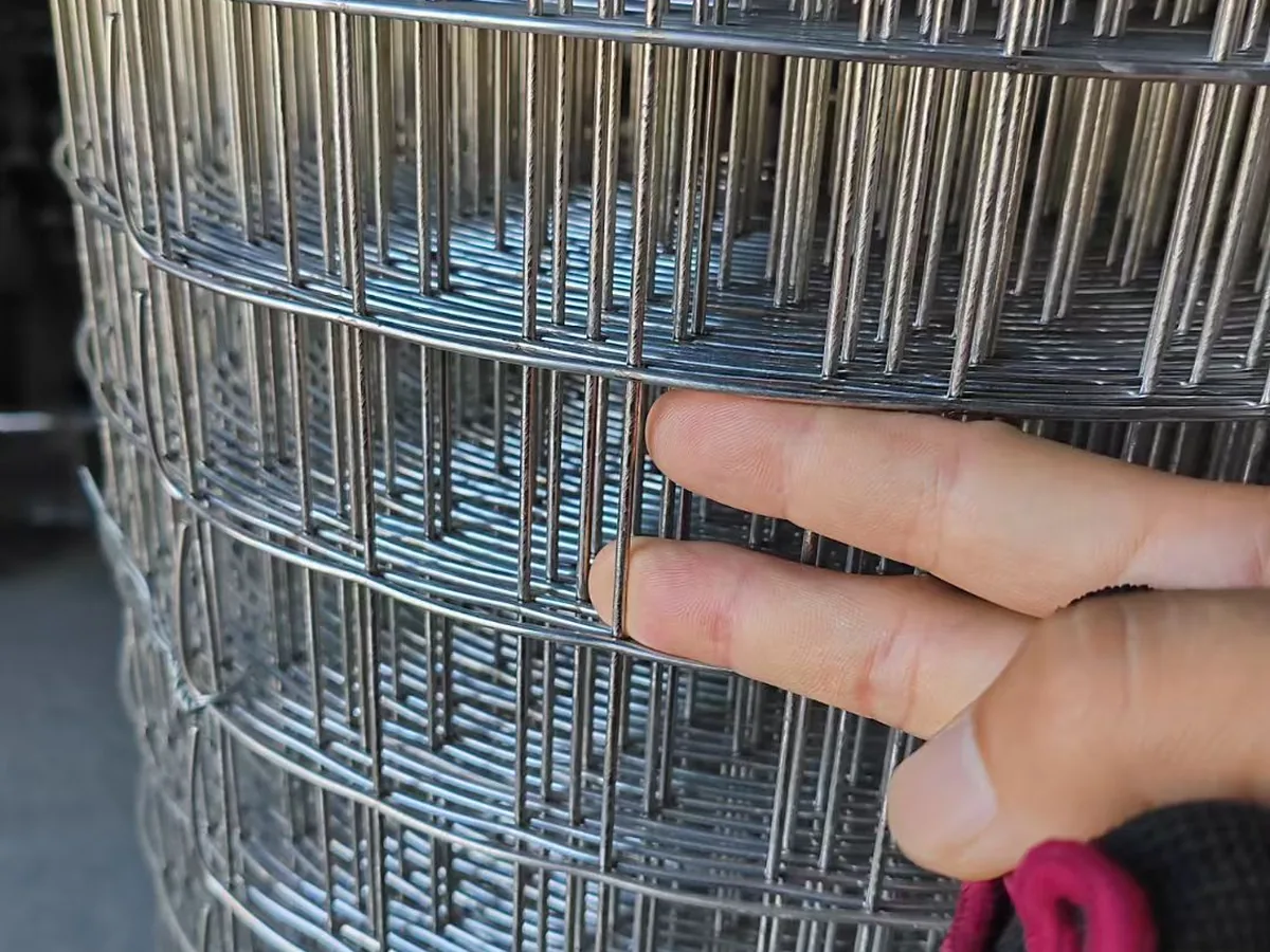 316 stainless steel welded mesh panel at the Anping factory